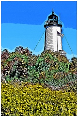 Wildflowers Surround Cape Poge Lighthouse - Digital Painting